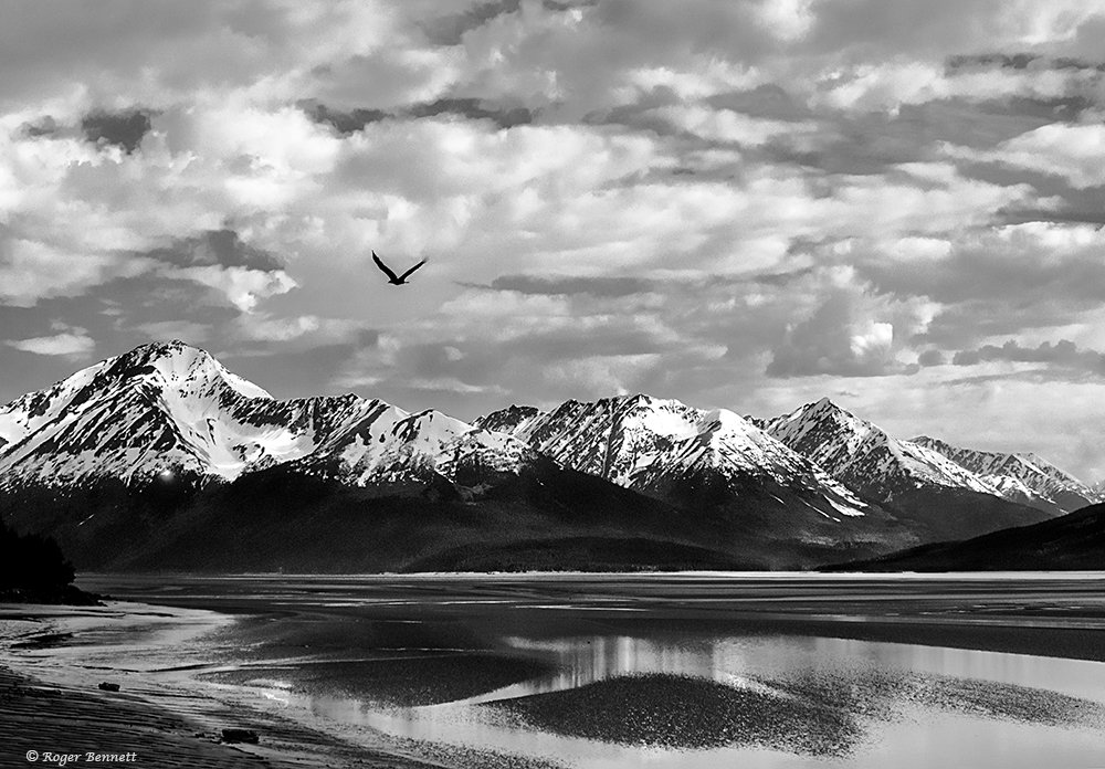 image-561665-Along_the_Alaska_Coast_Crop_2_BW_CR.w640.jpg