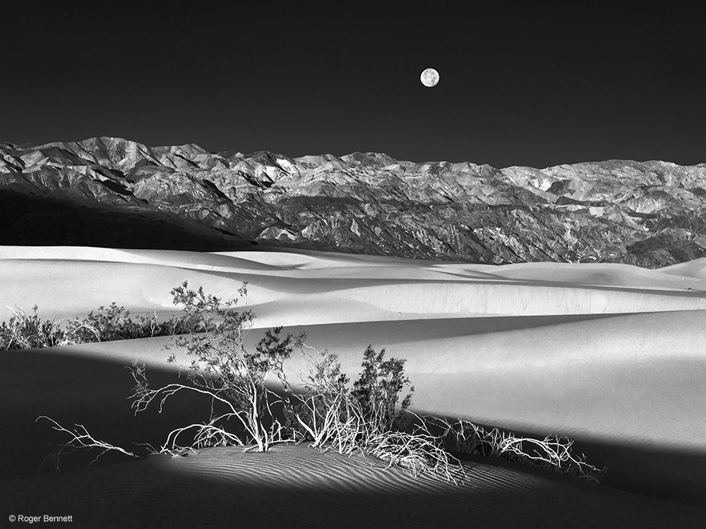 image-745497-Moon_Over_Dunes_and_Bushes_DSC6178_Rev2_Prntd_18x24_copy.w640.jpg