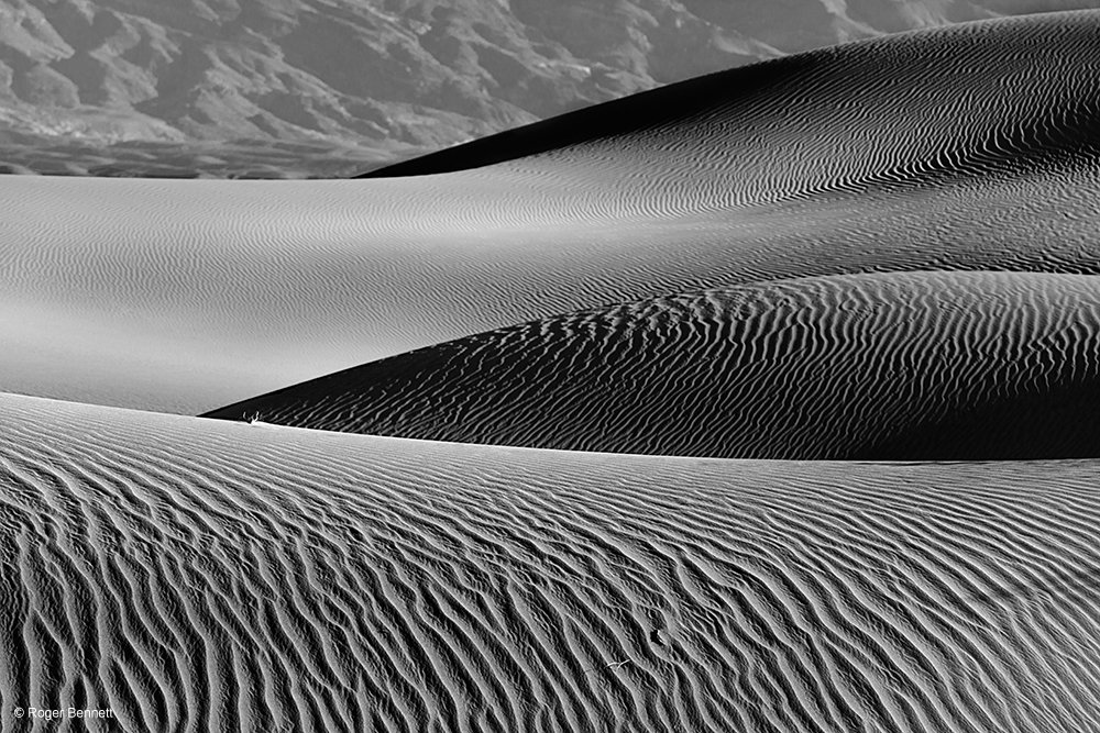 image-745497-Moon_Over_Dunes_and_Bushes_DSC6178_Rev2_Prntd_18x24_copy.w640.jpg