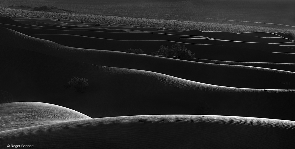 image-745497-Moon_Over_Dunes_and_Bushes_DSC6178_Rev2_Prntd_18x24_copy.w640.jpg