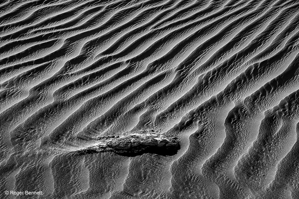 image-745497-Moon_Over_Dunes_and_Bushes_DSC6178_Rev2_Prntd_18x24_copy.w640.jpg