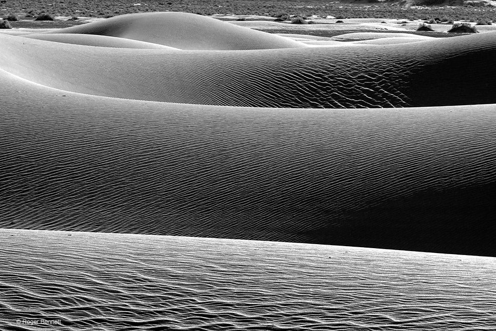 image-745497-Moon_Over_Dunes_and_Bushes_DSC6178_Rev2_Prntd_18x24_copy.w640.jpg