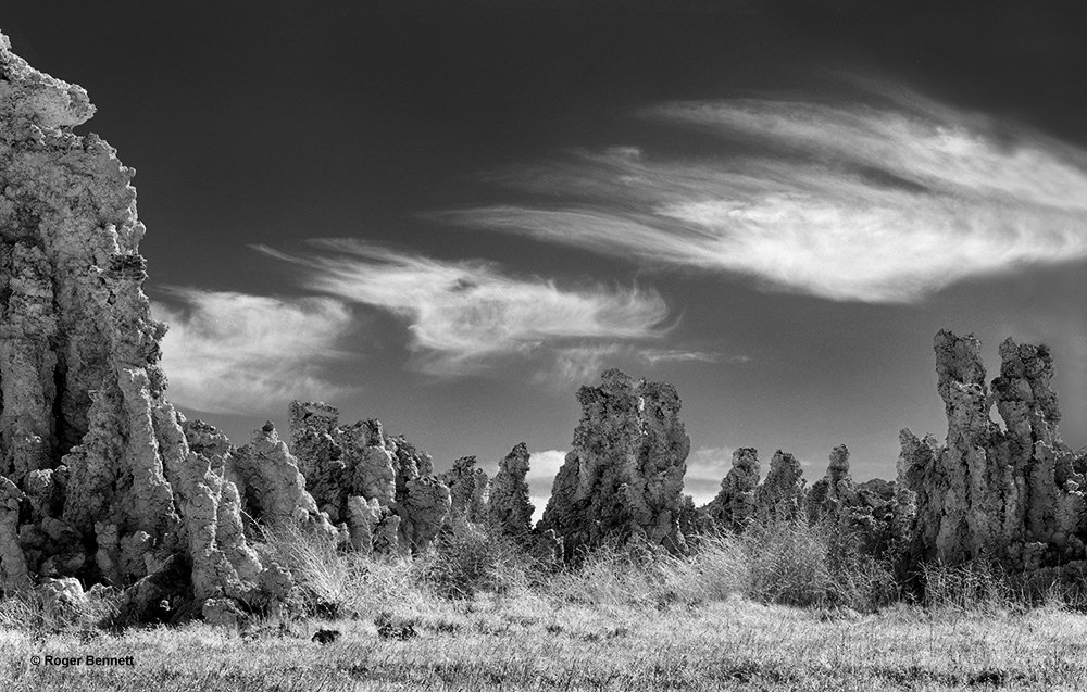 image-745958-Mono_Lake_Marching_Tufa_copy.w640.jpg