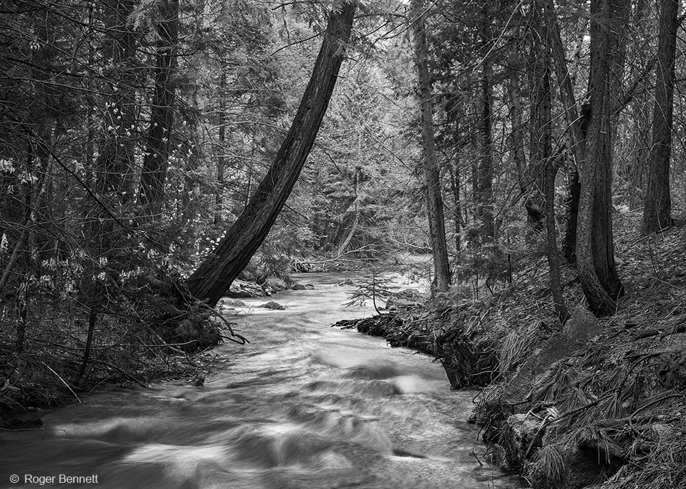 image-764349-Neg_098_Yos_Vernal_Falls_CR.w640.jpg