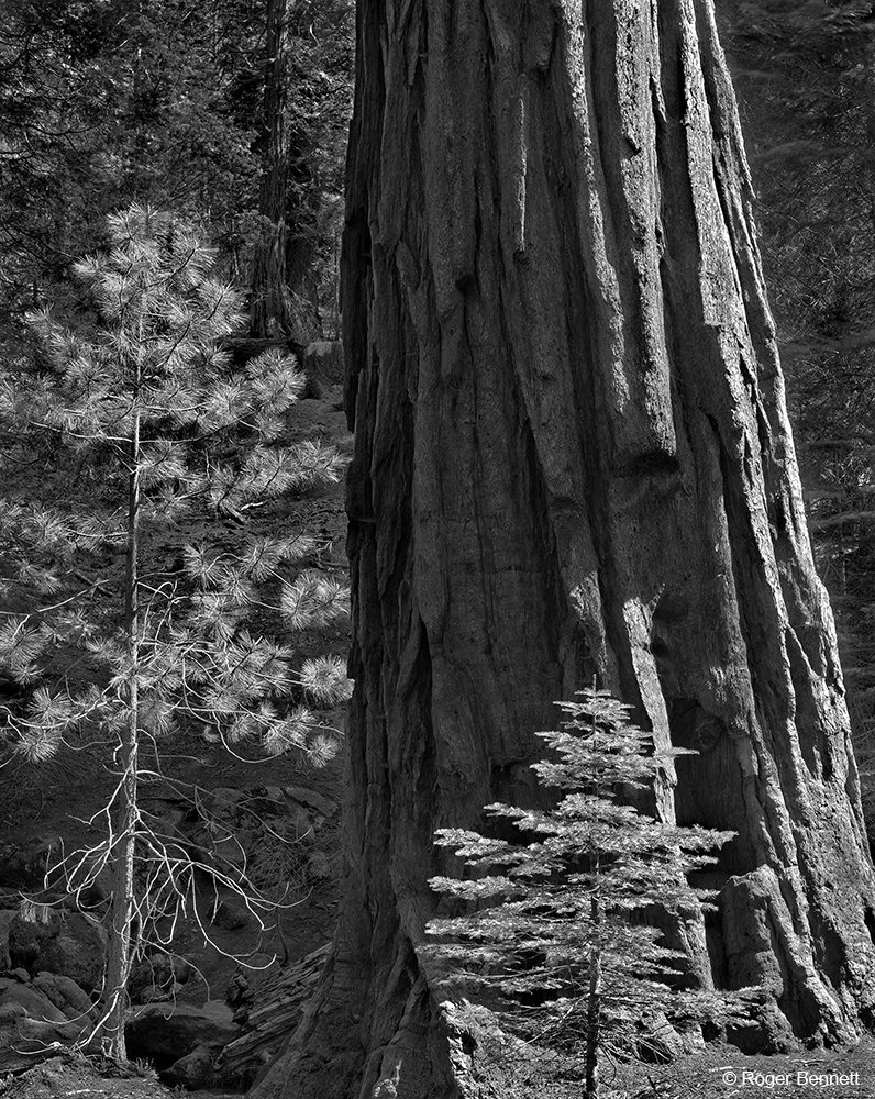 image-764349-Neg_098_Yos_Vernal_Falls_CR.w640.jpg